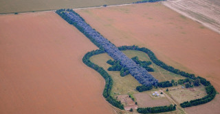 fazenda-la-guitarra-violao-argentina