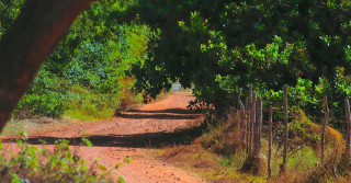 foto de estrada rural