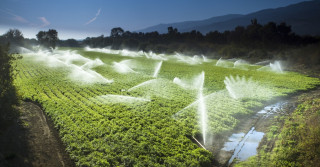 Com La Niña, Agricultura deve distribuir água com eficiência