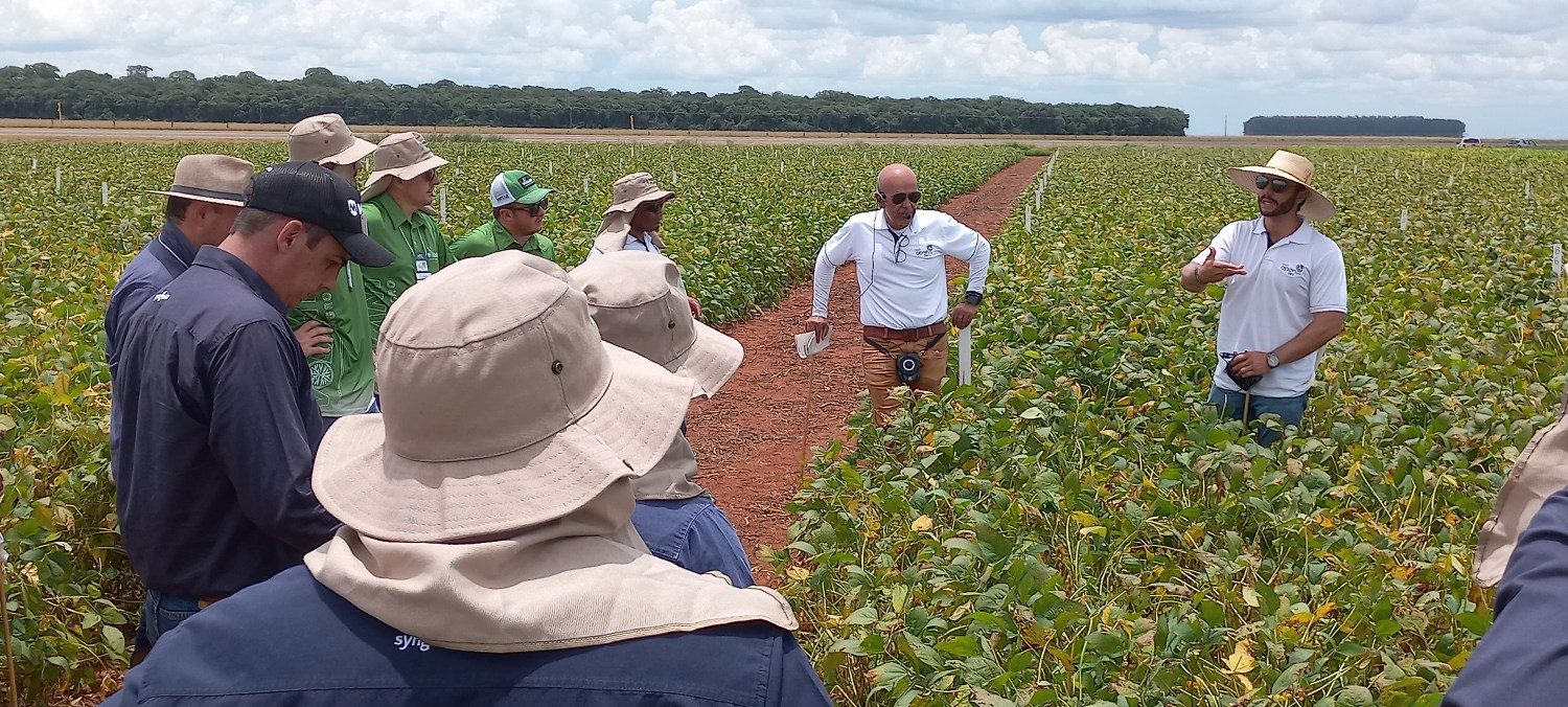 Pesquisadores Fabiano Siqueri e Ivan Pedro mostrando resultados das áreas de pesquisas em Campo Novo do Parecis-MT