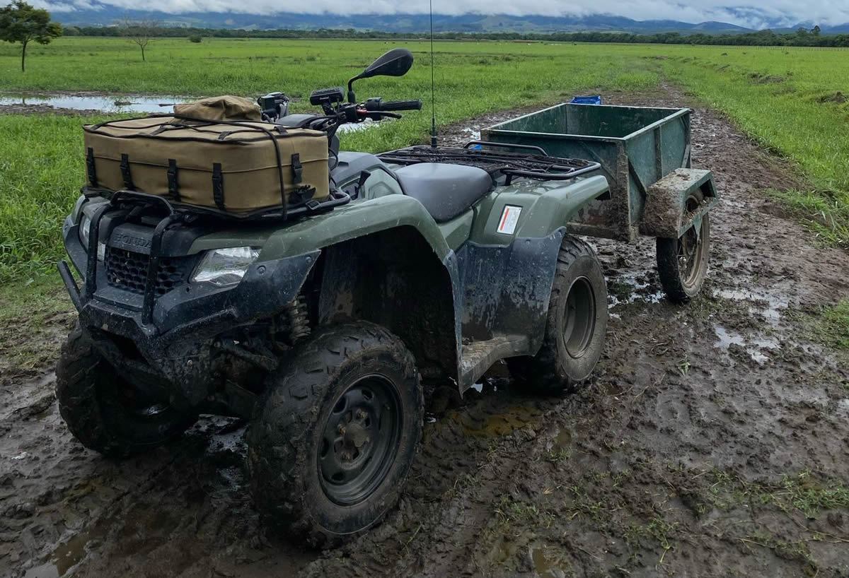 Quadriciclos viram febre e são usados na Pecuária e Agricultura 1