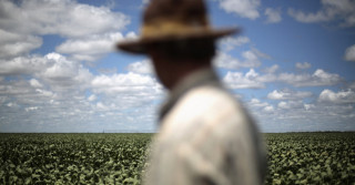 governo renegociará dívidas do produtor