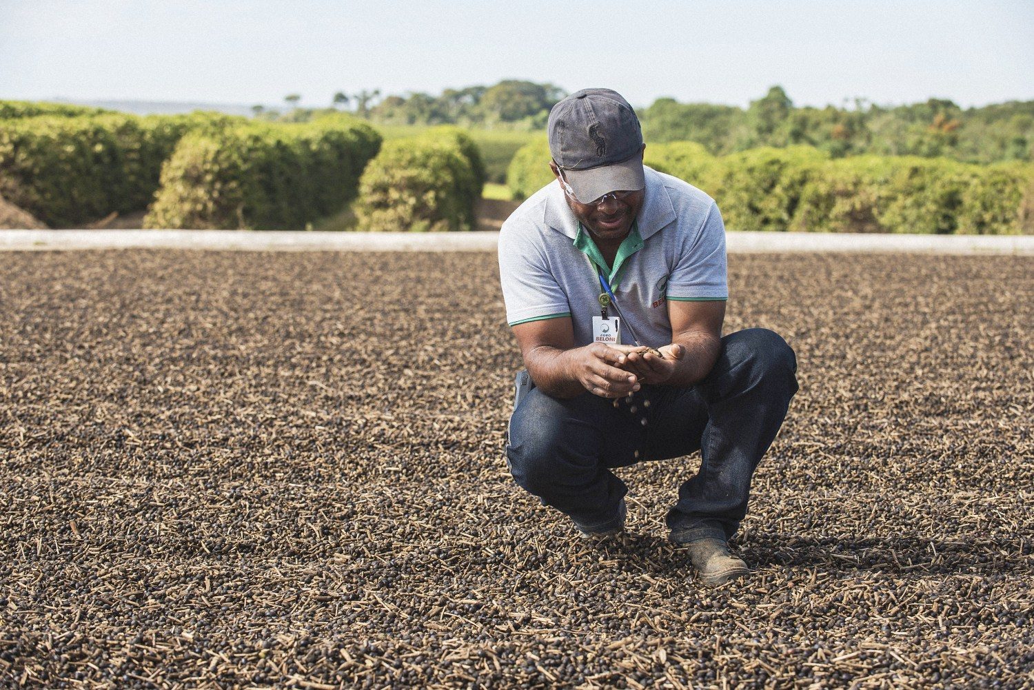 Brasil recebe a primeira certificação de cafeicultura regenerativa do mundo