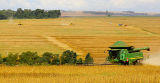 Valor Bruto da Produção Agropecuária baterá R$ 1,2 tri em 2022