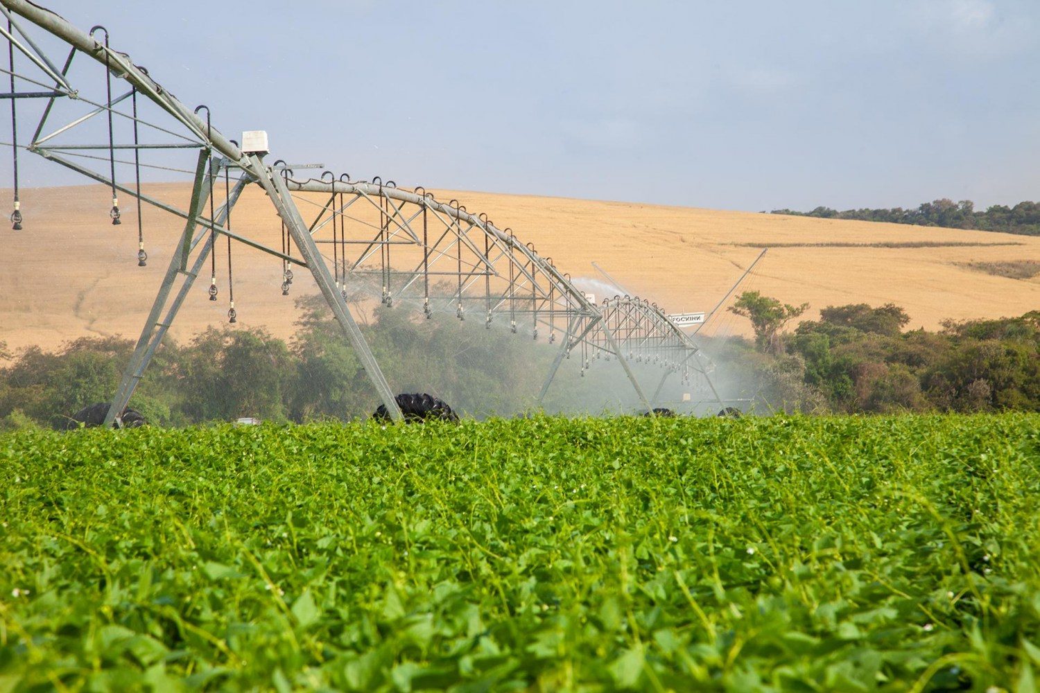 Irrigação: aumente sua produtividade e diminua riscos de perdas nas lavouras