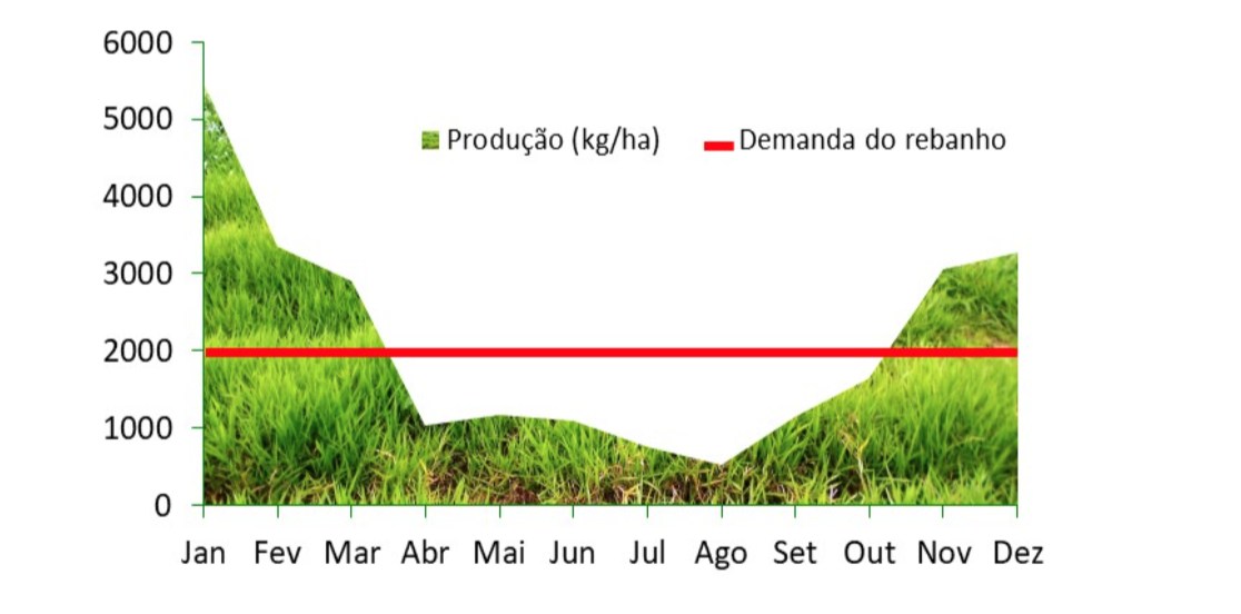 Figura 2. Produção e demanda por forragem ao longo do ano (Adaptado de Silva et al., 2021).