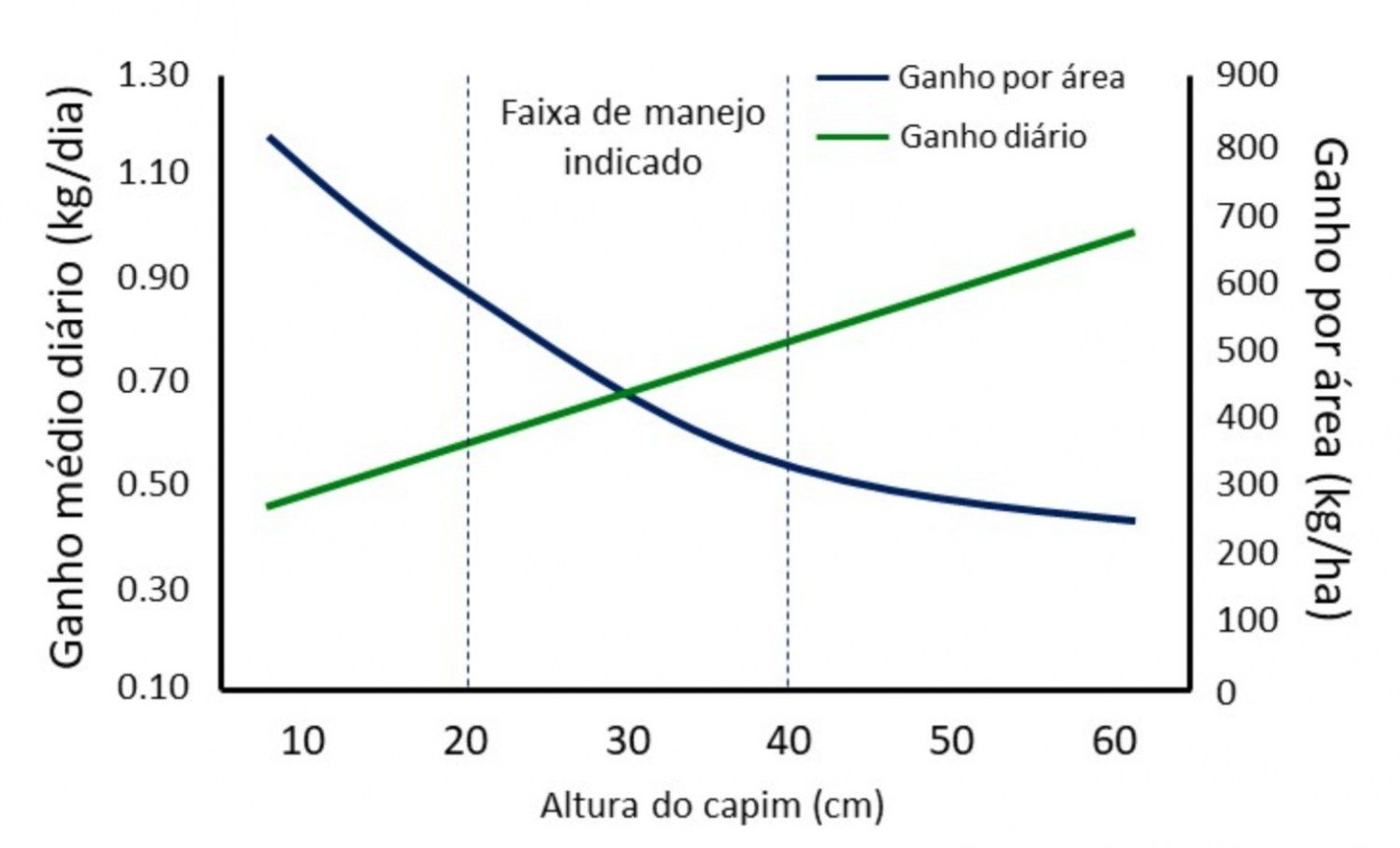 relacao de altura capim - regime de lotacao cotinua