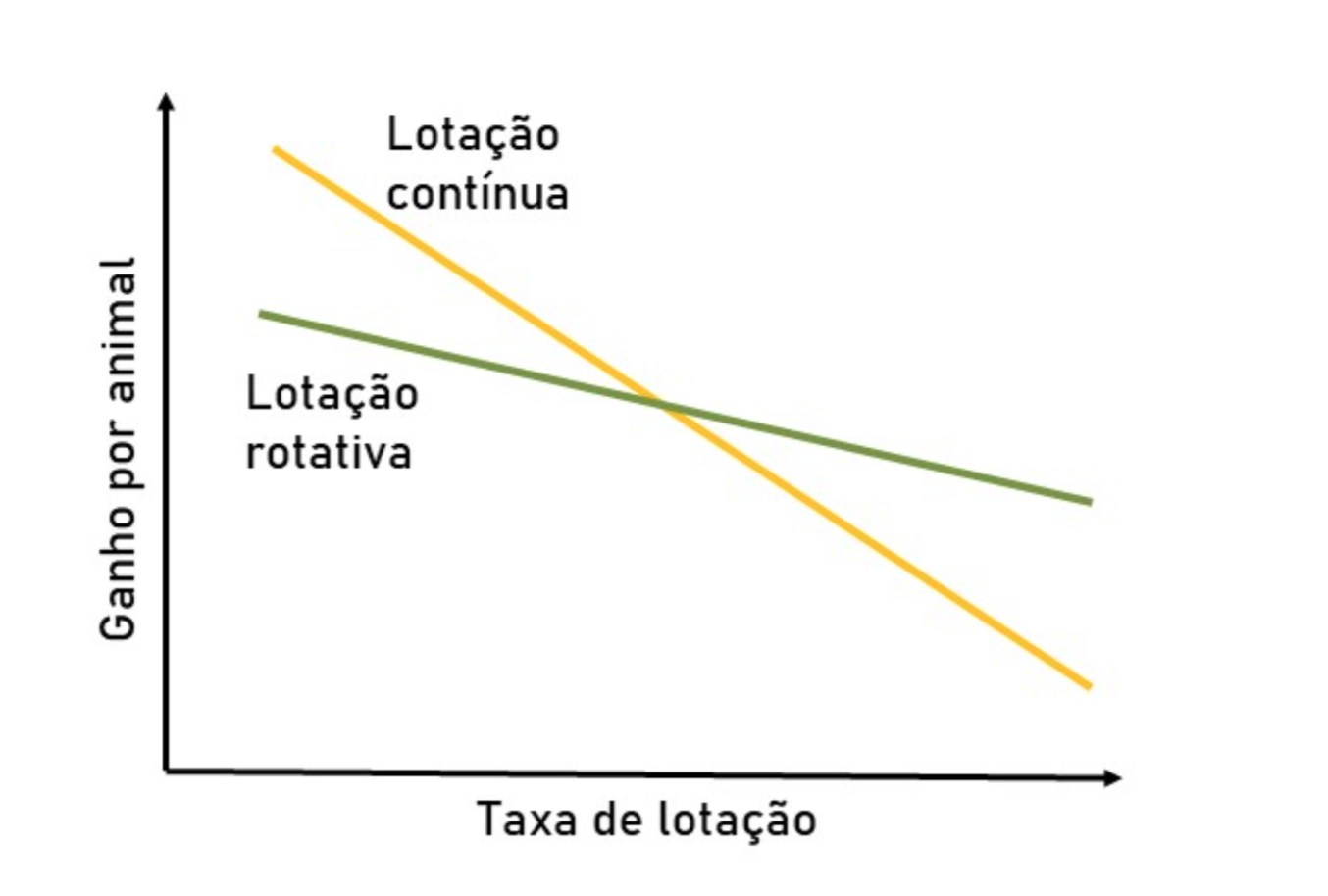 relacao de ganho por animal comparacao lotacao continua e rotativa