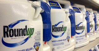 roundup