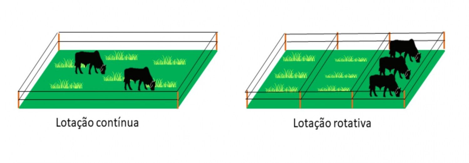 sistemas de pastejo com lotacao rotativa 1