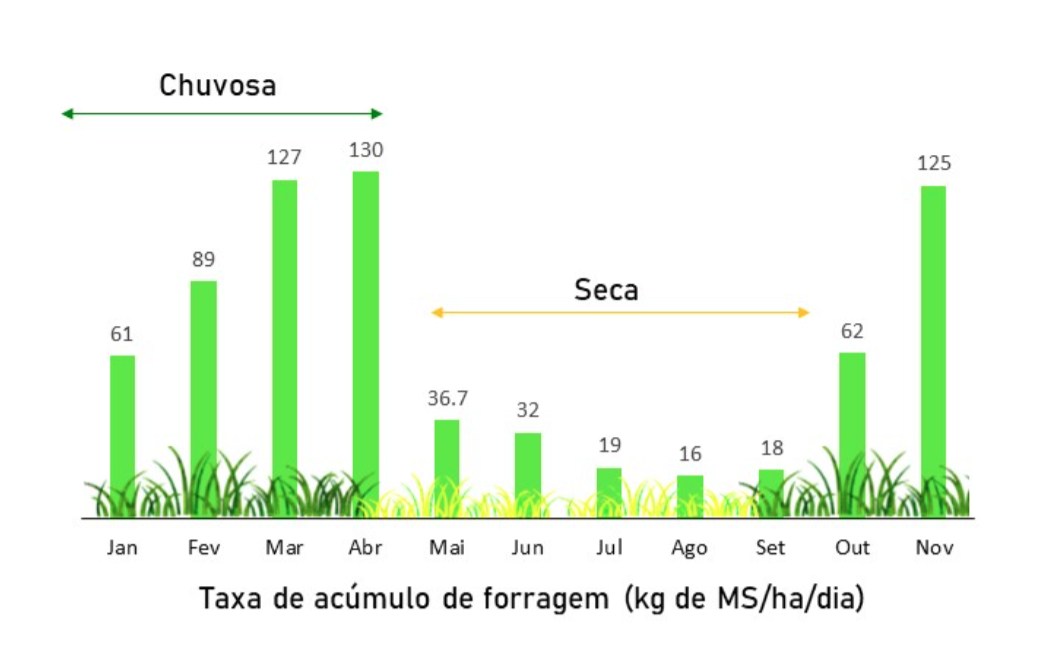 Figura 1. Taxa de acúmulo de forragem do capim-mombaça ao longo do ano (Adaptado de Corrêa et al., 2006).