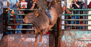 Festa do Peão de Colorado celebra retomada após dois anos com sucesso de público