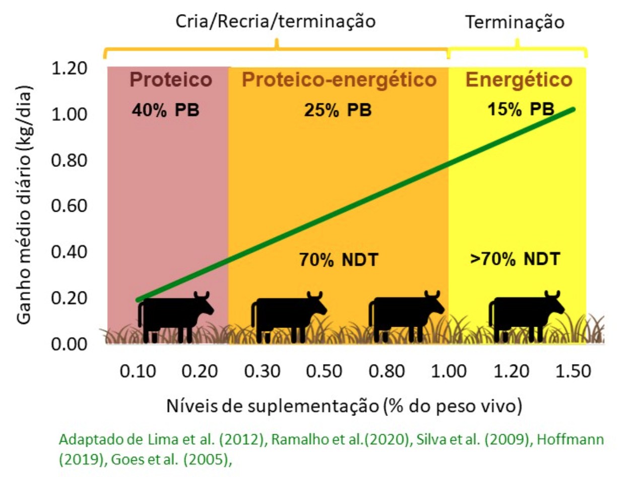 Figura 3. Desempenho animal em função dos níveis de suplementação.