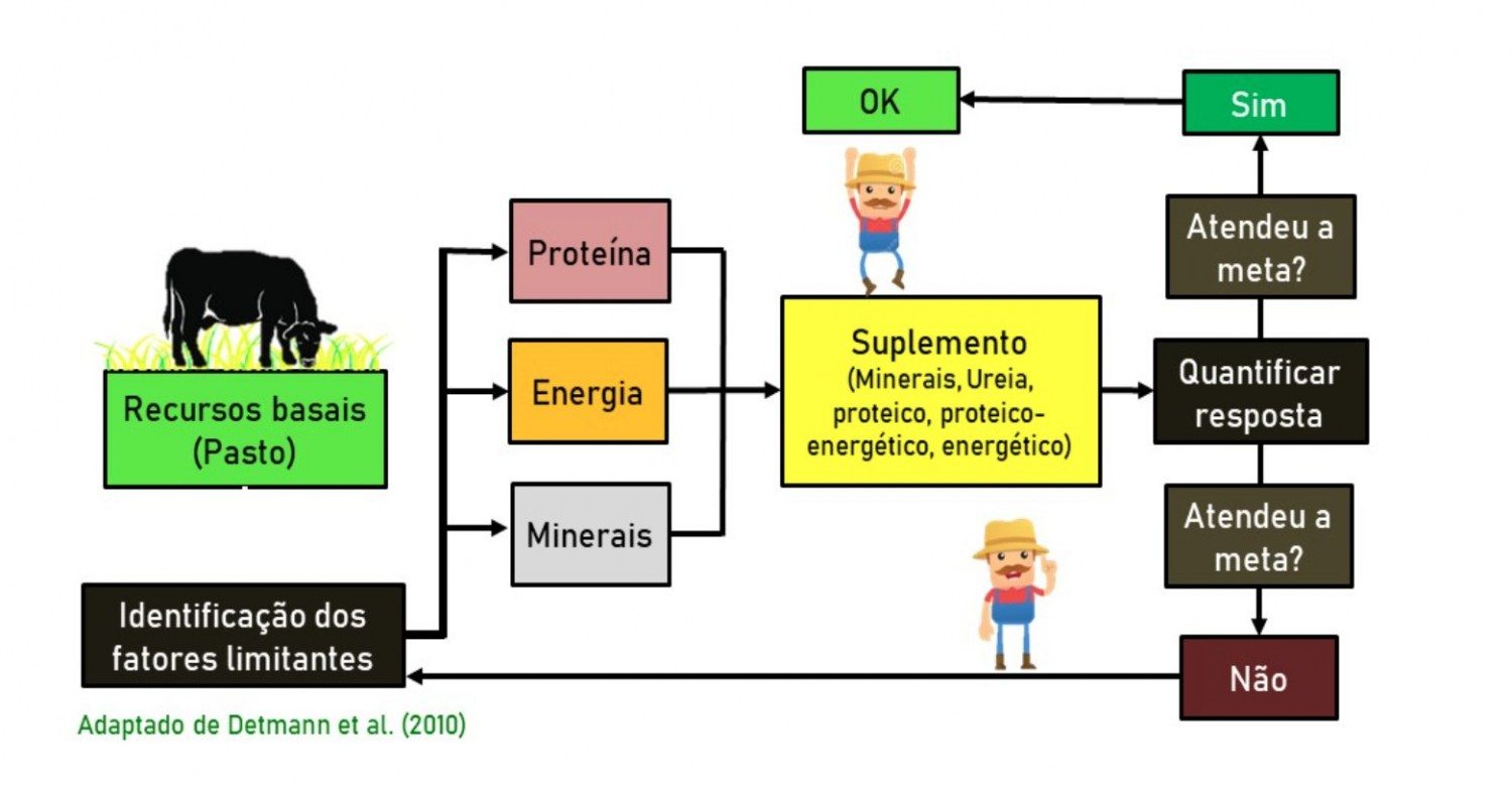 Figura 4. Fluxograma de um sistema com a utilização de recursos suplementares.