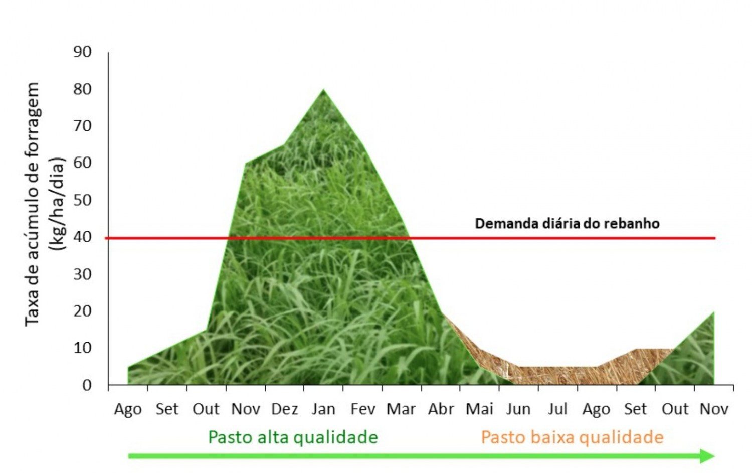 Figura 1. Taxa de acúmulo de forragem ao longo do ano (Aguiar, 2001).