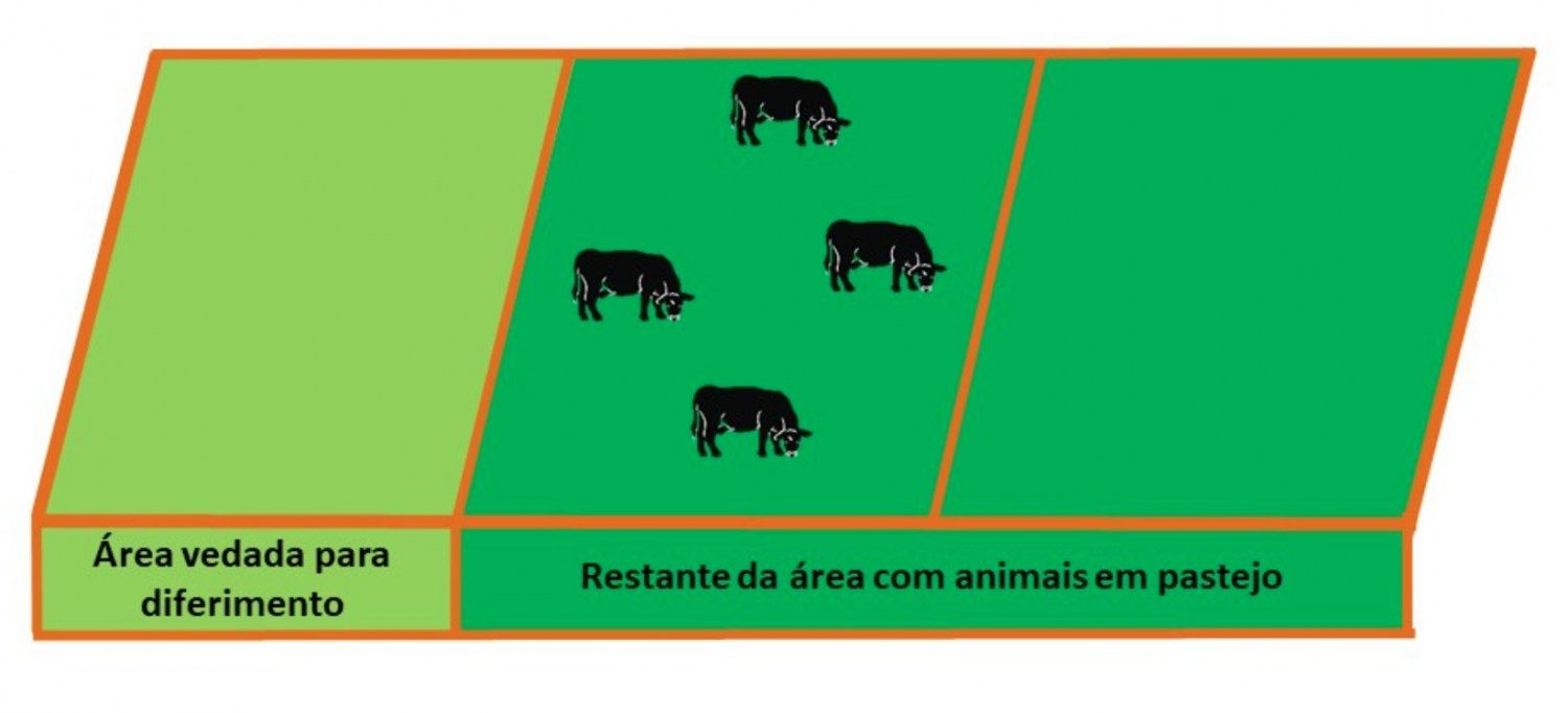 vadacao de pastos para o diferimento