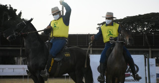 Criadores promovem evento do Mangalarga Marchador em Goiânia