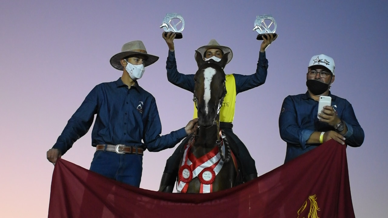 Criadores promovem evento do Mangalarga Marchador em Goiânia