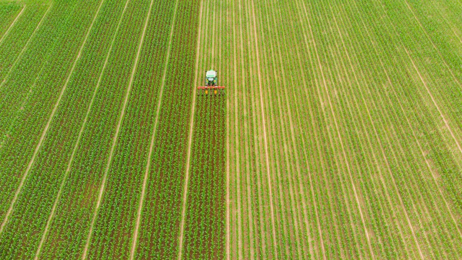 aerial-tractor-working-cultivated-fields-farmland-agriculture-occupation-top-down-view-lush-green-cereal-crops-sprintime-italy