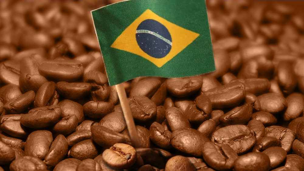 Café Brasil 894 – Dezessete e setecentos - Café Brasil