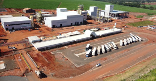 cargill em bebedouro