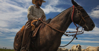 vaqueiro montado a cavalo fotao - fotos romancini