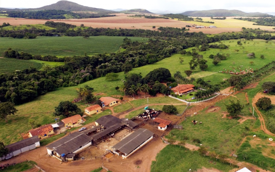 Agropecuária Vila Rica - goias