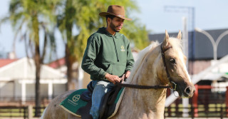 Expo Brasileira surpreende pela qualidade funcional dos cavalos Mangalarga em pista