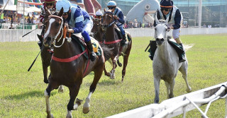 GRANDE-PREMIO-WATHBA-STALLIONS-CUP-FOR-FILLIES-I---evento-do-turfe-paulista