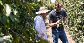 Norte de Minas Gerais na rota dos cafés especiais