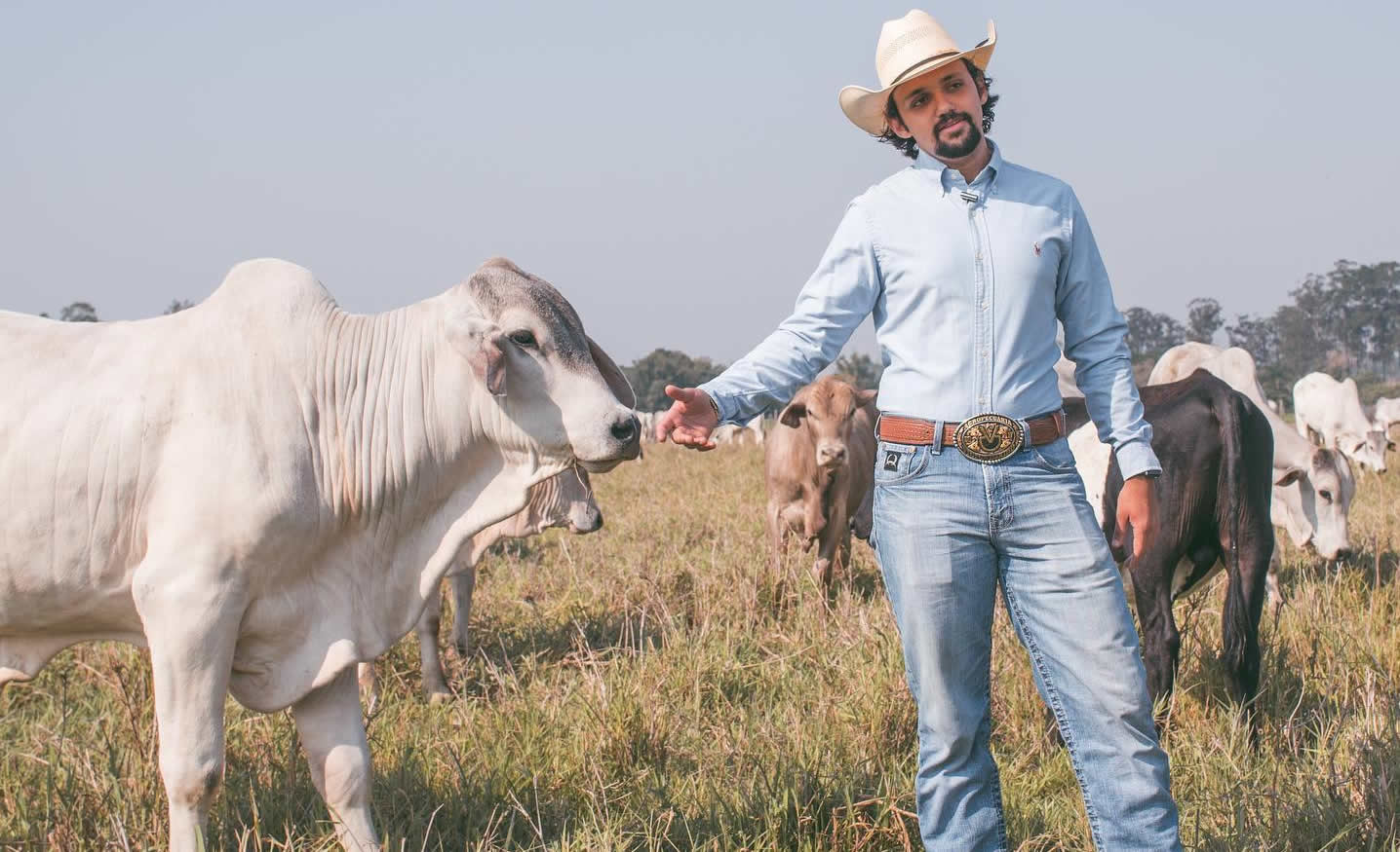 victor darido pecuarista agua preta - no pasto com boi cheirando sua mao