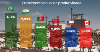 Brasil lidera produtividade no agro - Crescimento anual de produtividade - comprerural- ipea