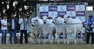 Conj. Progênie de Pai – Kayak TE Mafra - casa-branca-Agropastoril-e-o-Melhor-Expositor-e-Melhor-Expositor-Iniciante-da-Expoagro-Franca-2022-foto-douglas-nascente5