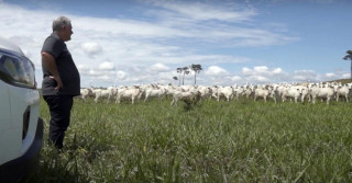 É preciso planejar para chegar no inverno com pastagem de qualidade