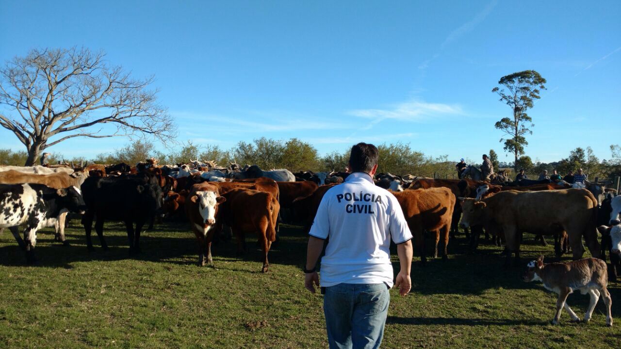 Prefeituras do RS passam a utilizar o AbigeApp: Aplicativo contra abigeato, que agiliza a investigação da segurança pública em furtos de animais do campo