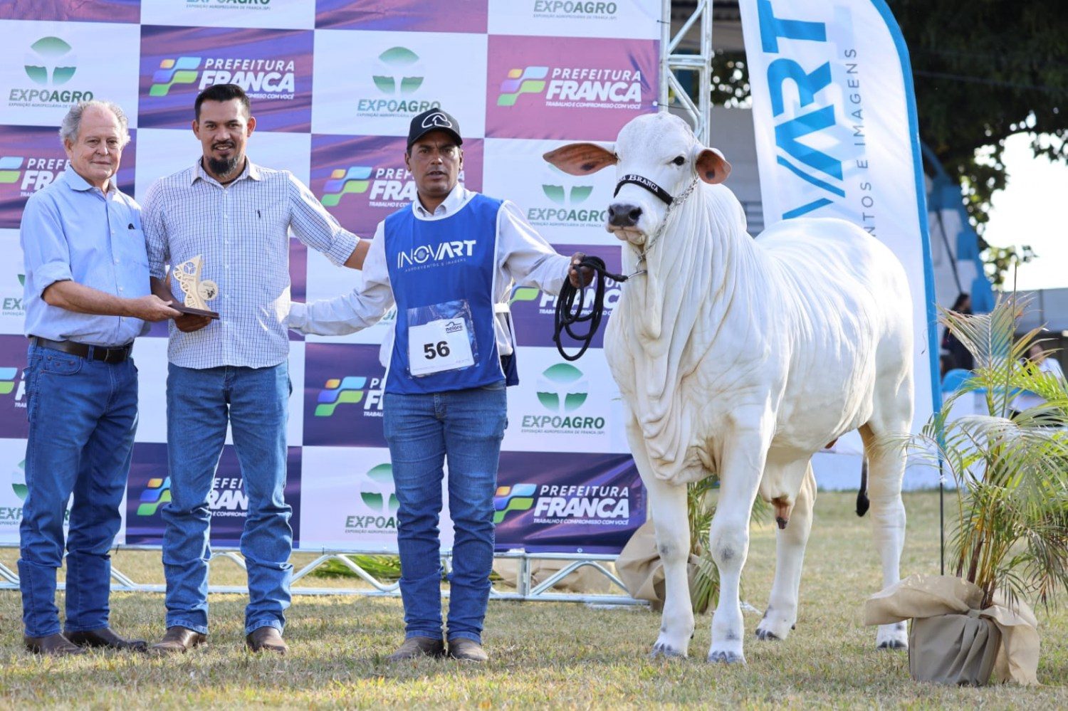 Gholias FIV VRI Vila Real - casa-branca-Agropastoril-e-o-Melhor-Expositor-e-Melhor-Expositor-Iniciante-da-Expoagro-Franca-2022-foto-douglas-nascente4