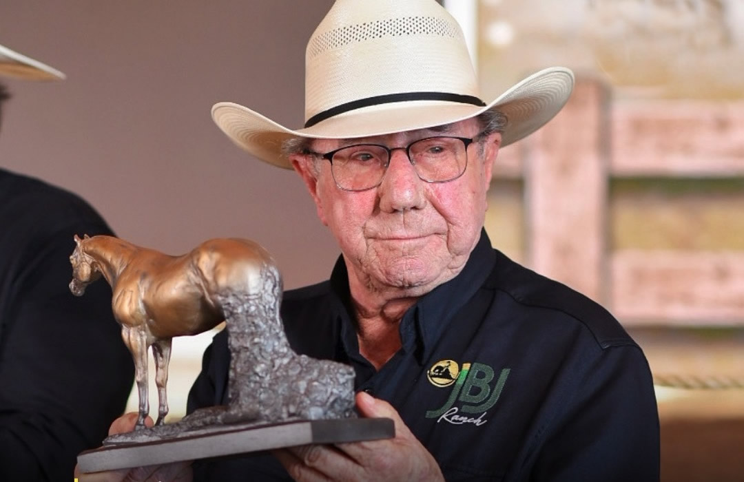 Nossa Homenagem ao Dia do Cavalo - Agnaldo Agostinho 