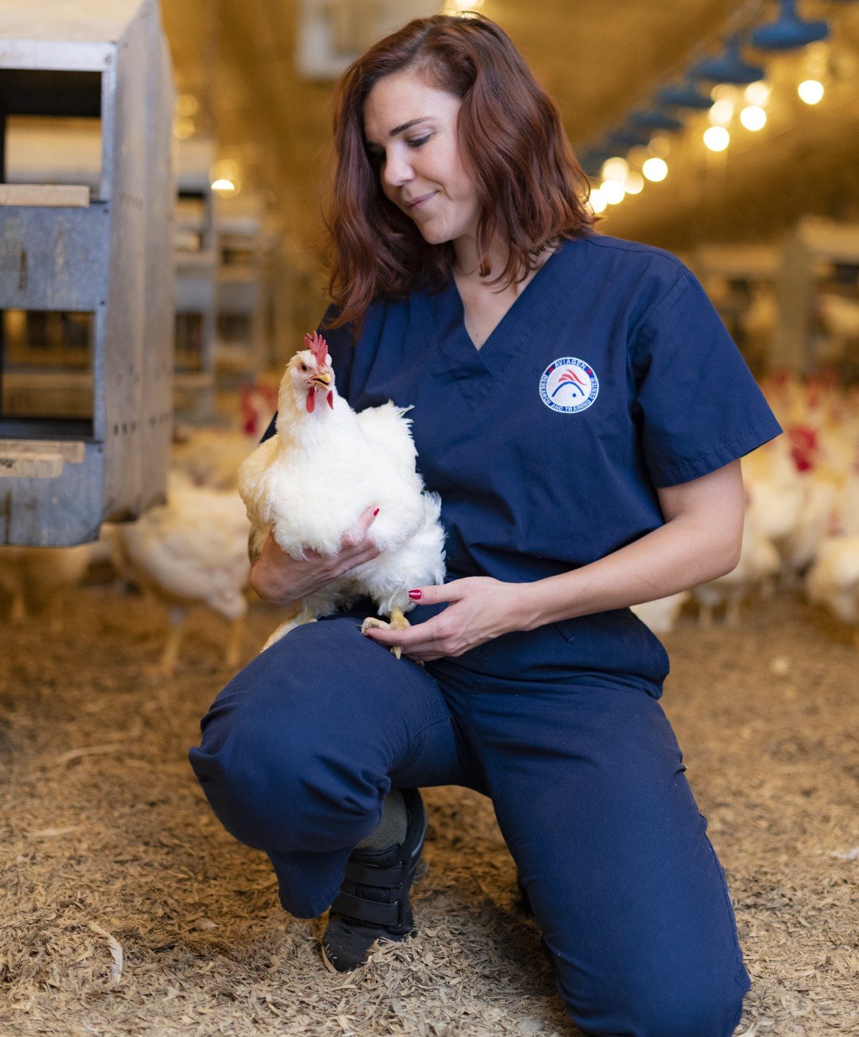 Por Dra. Sara Reichelt, Diretora de Bem-Estar Animal e Sustentabilidade, Aviagen América do Norte