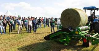 Sulfato de cálcio granulado incrementa produção de forrageiras