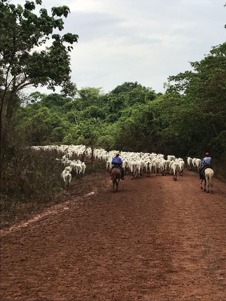 Fazenda Santa Bárbara