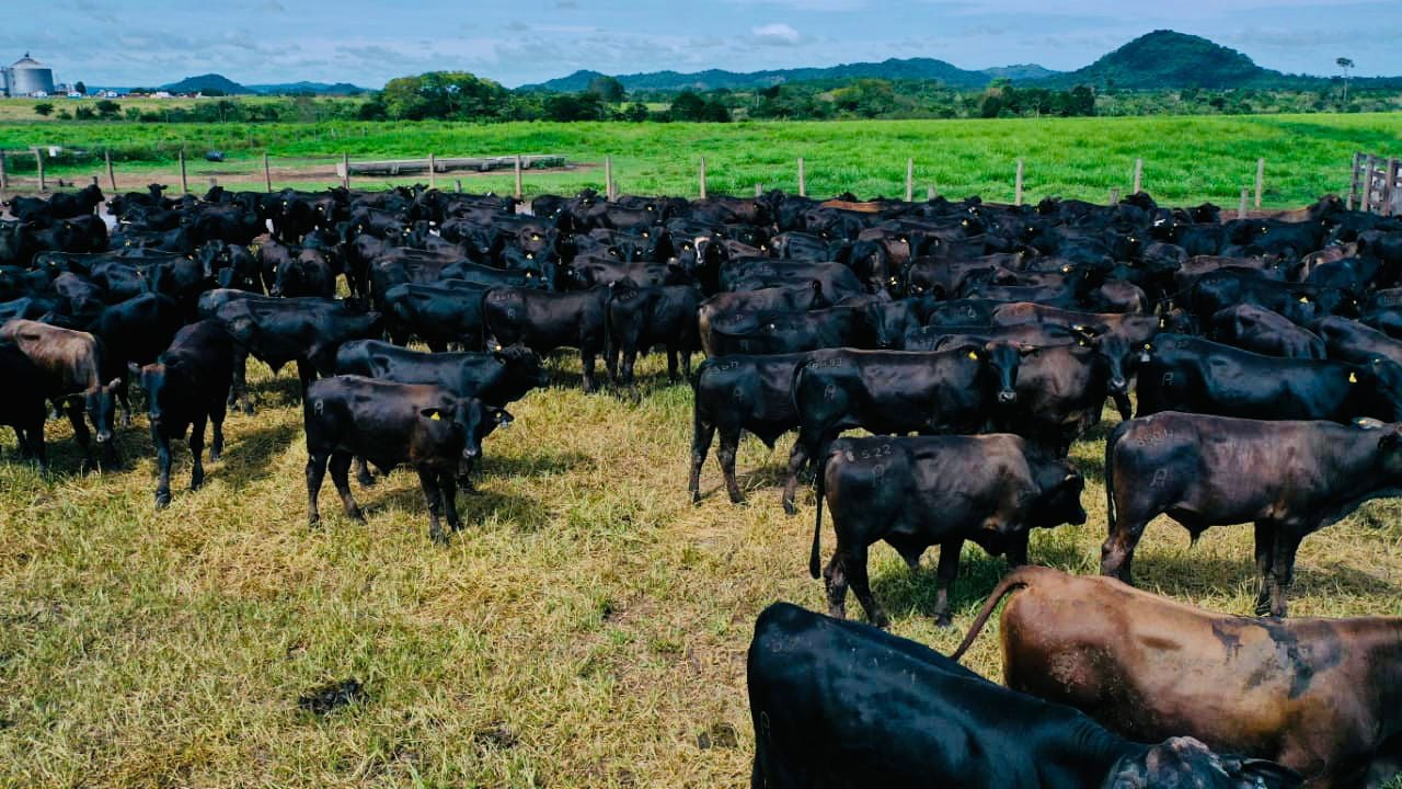 Fazenda Santa Bárbara