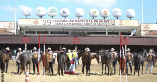 Exposição Nacional Ram do Cavalo Mangalarga Marchador