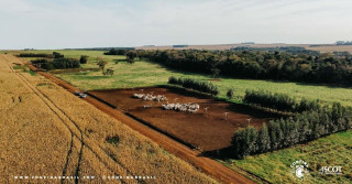 Fazenda Taquaruçu é vizinha de outra propriedade que visitamos em MS - a Estância Maracaju