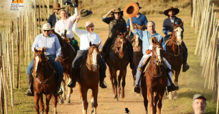 Núcleo Alta Mogiana se destaca pelo trabalho de fomento ao Cavalo Mangalarga em SP 4