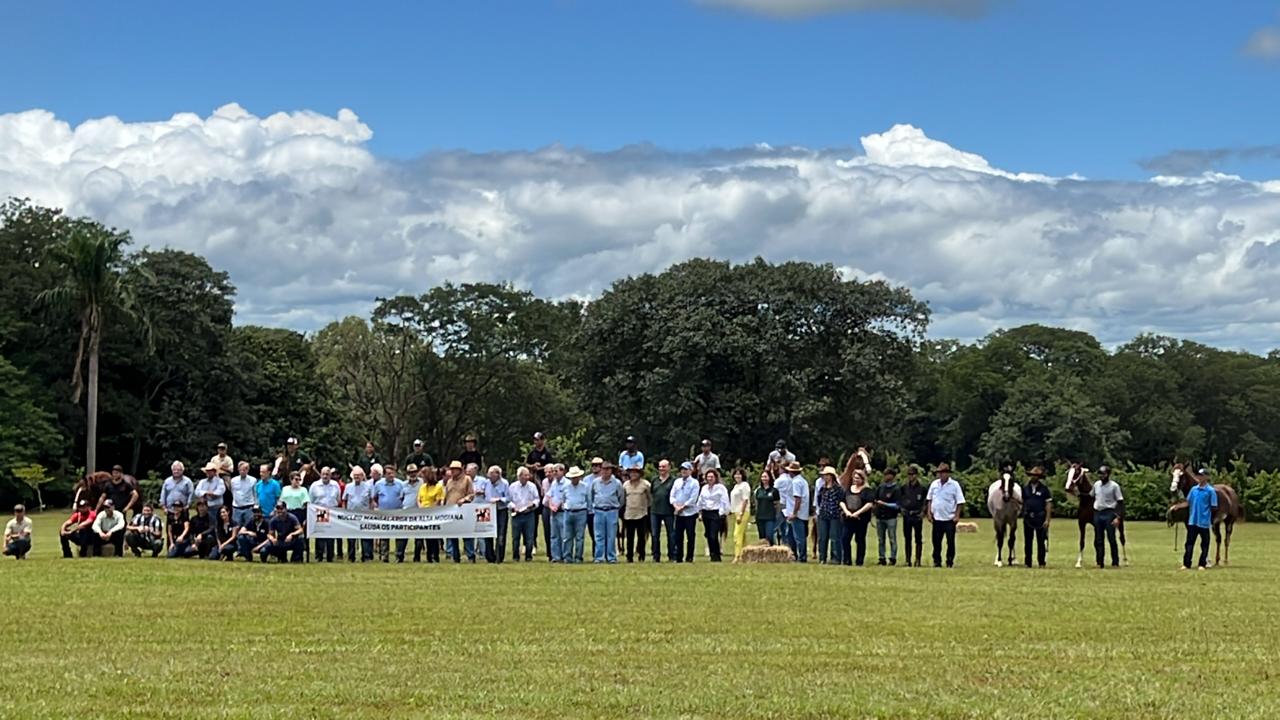 Núcleo Alta Mogiana se destaca pelo trabalho de fomento ao Cavalo Mangalarga em SP