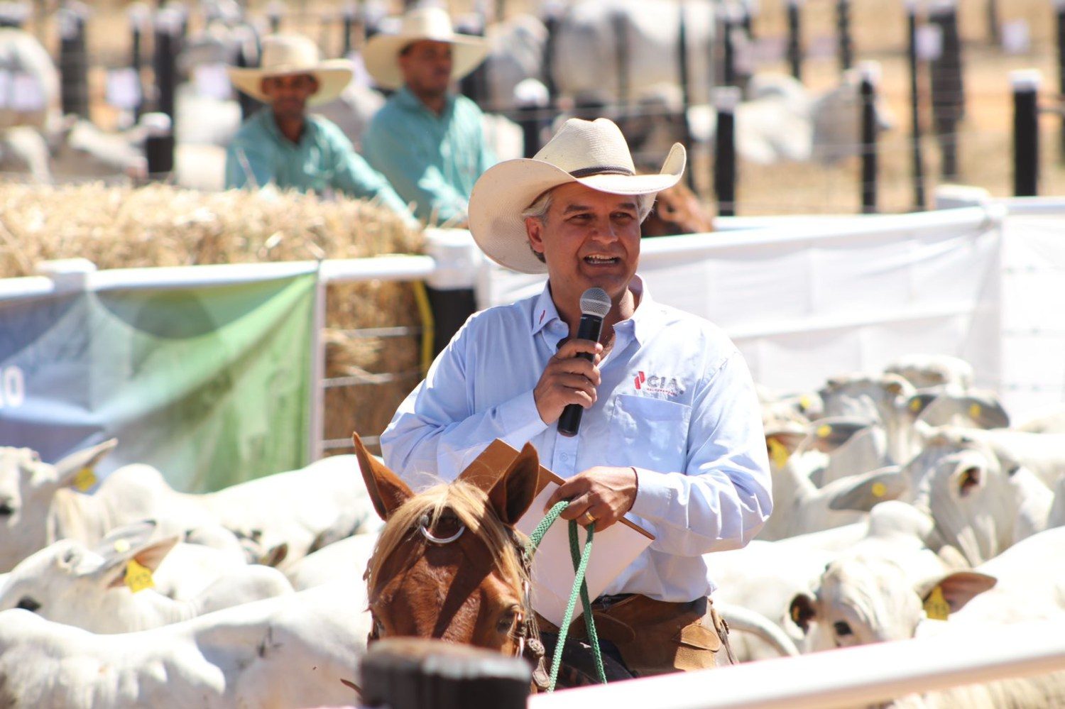 dia de campo jacarezinho - peonada alinhada - gado com cavaleiro no microfone