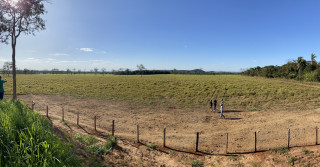 grande fazenda no mato grosso