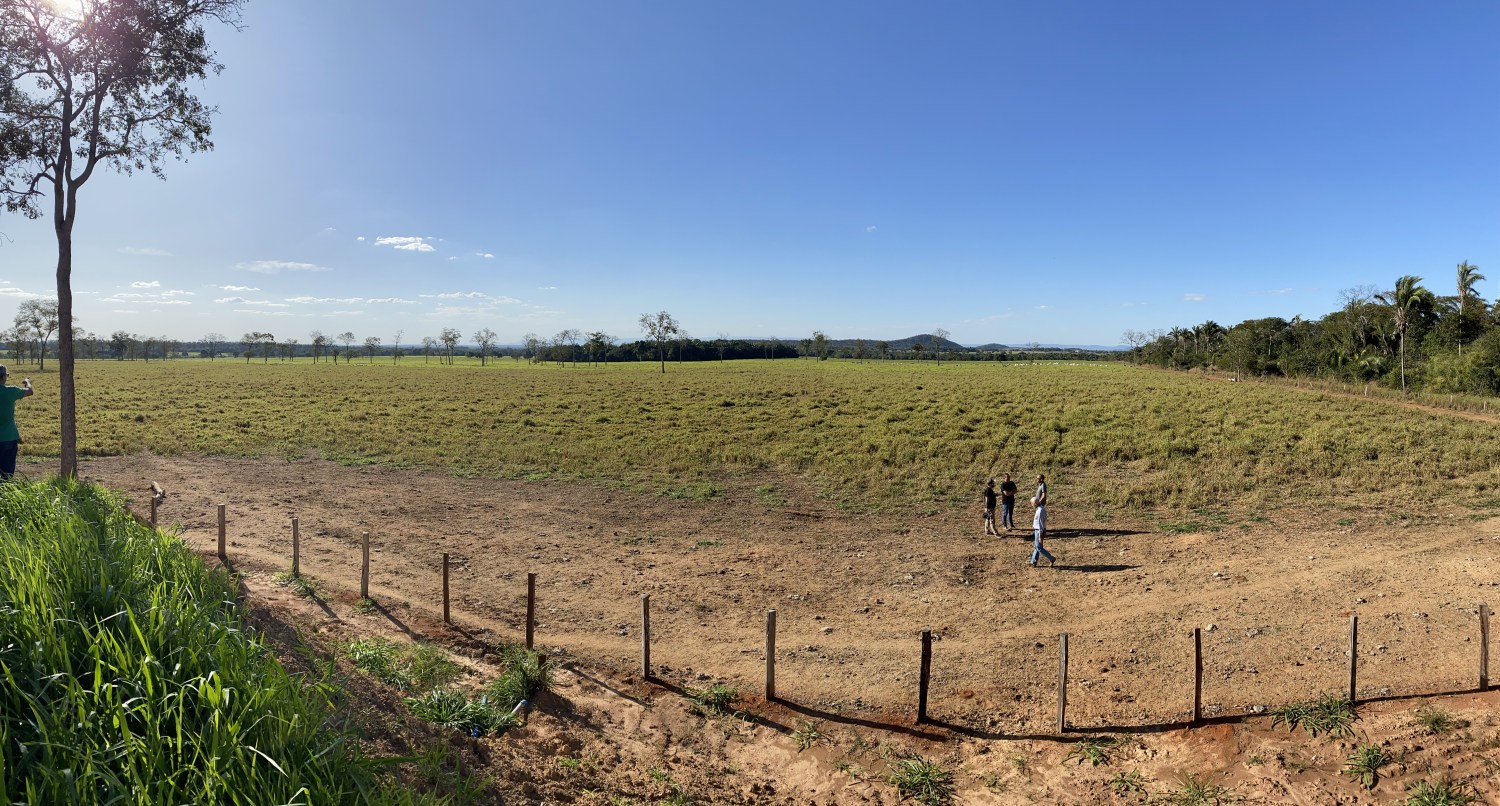 grande fazenda no mato grosso