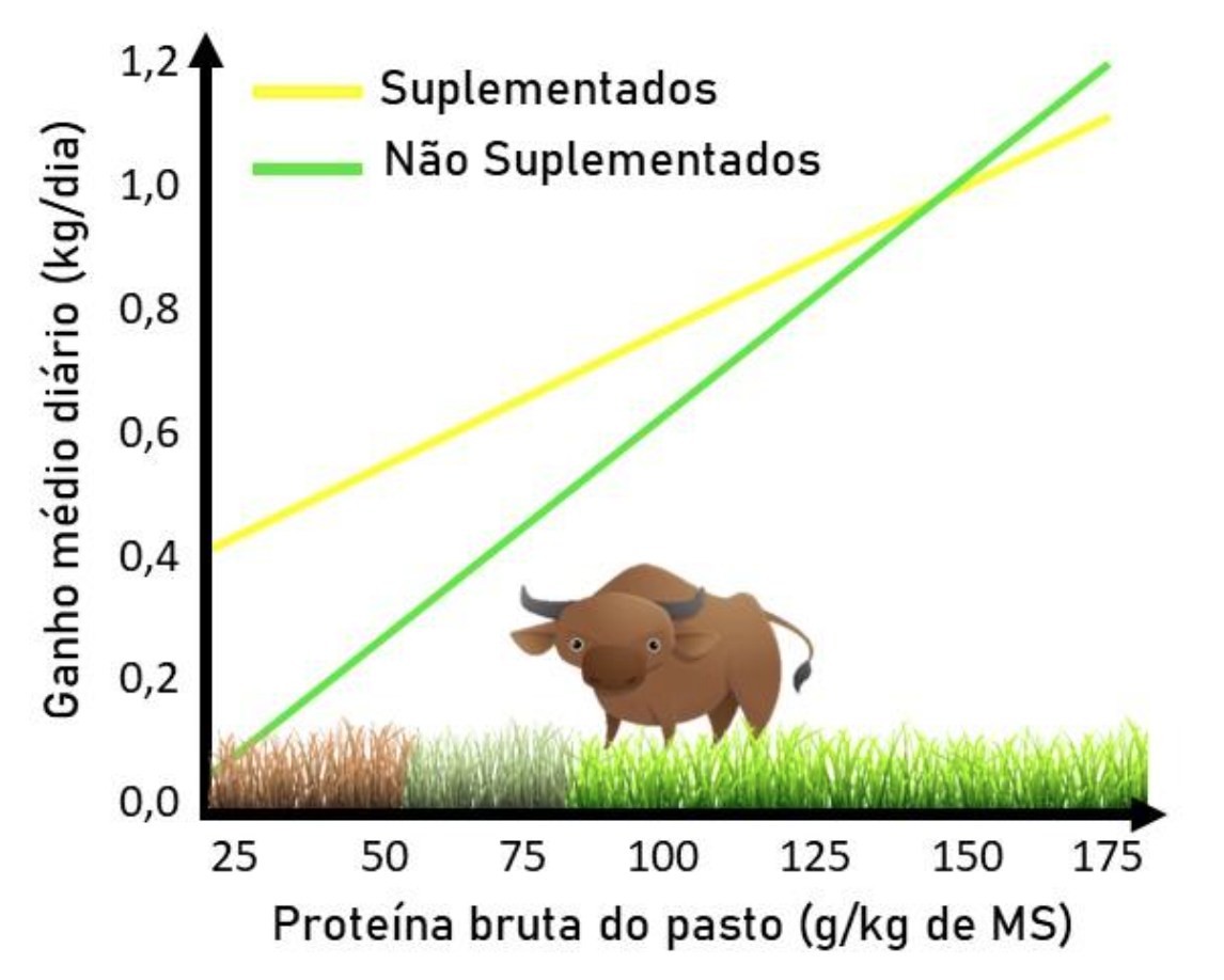 Figura 2. Efeito da suplementação proteica sobre o ganho médio diário de animais em pastejo em função do teor de proteína bruta do pasto (Sousa et al., 2022).