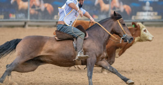 Freio de Ouro decide campeões de edição histórica no fechamento da Expointer